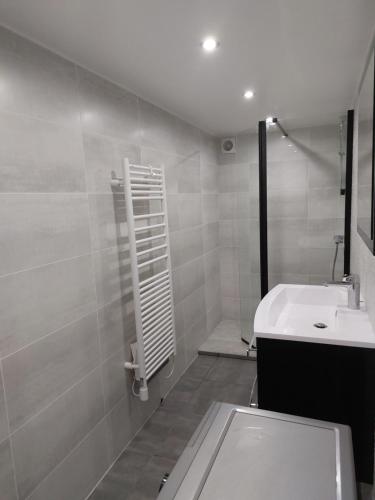 La salle de bains est pourvue d'un lavabo, de toilettes et d'une douche. dans l'établissement Big studio near Paris and Eurodisney, à Le Perreux-Sur-Marne