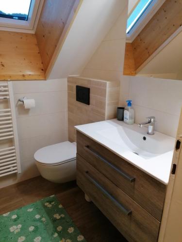 a bathroom with a white sink and a toilet at Apartment Cvetek Janez in Bohinj