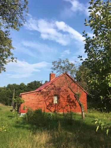 Wiejski domek w środku lasu Osłowo Mielnik