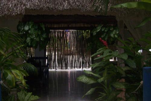 an entrance to a room with plants at Posada El Jardin in Ticul