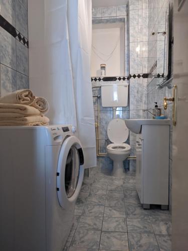 a bathroom with a washing machine and a toilet at Apartman Sabah in Novi Pazar