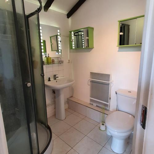 une salle de bain avec toilettes, lavabo et douche dans l'établissement Les Bambous, à Sauveterre-la-Lémance