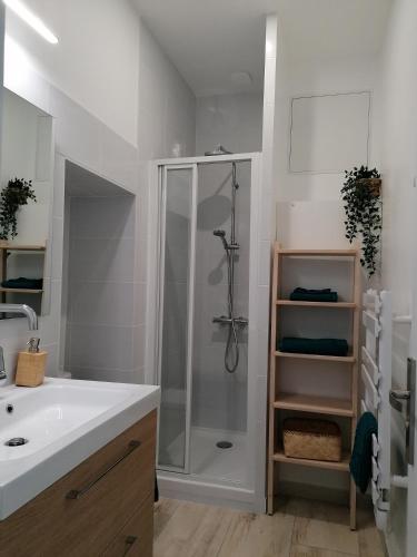 une salle de bain blanche avec une douche et un lavabo dans l'établissement Le manut, charme et confort, à Dijon
