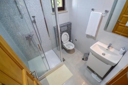 een badkamer met een douche, een toilet en een wastafel bij Villa Forest Sarajevo in Sarajevo