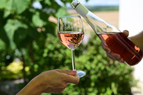 a person is holding a glass of wine at apartmán U Rané BOBULE in Znojmo