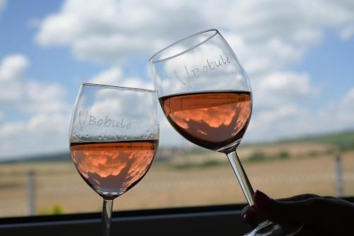 two glasses of wine in front of a window at apartmán U Rané BOBULE in Znojmo