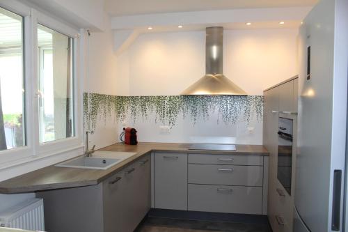 una cocina con armarios blancos y fregadero en A L'orée des vignes, superbe logement de 80 m2, en Wangen