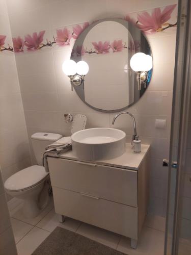 een badkamer met een wastafel, een spiegel en een toilet bij Christiana Andersena - apartamenty in Poznań