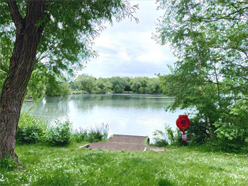 a picnic table next to a lake with a tree at The Lake House, Woking in Woking