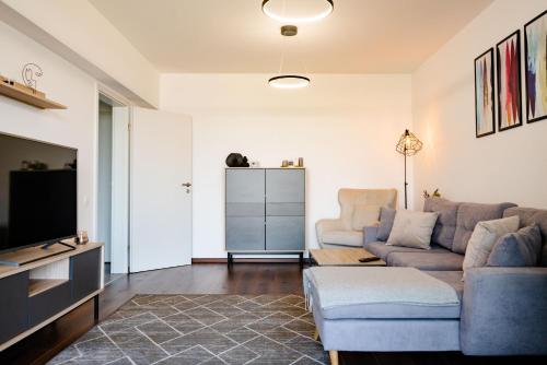 a living room with a couch and a tv at Apart B&V 55 Qualis - Luxury Mountain Escape in Braşov