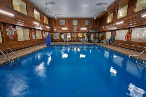 a large swimming pool with ducks in the water at Ambassador Inn and Suites in South Yarmouth