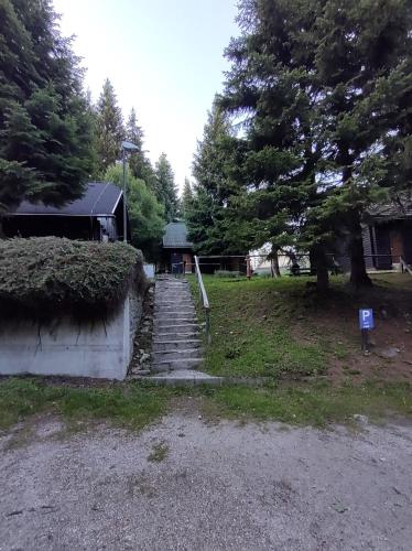 Brunarica 6A - Pohorje - Trije Kralji - Pohodnistvo in gorsko kolesarstvo