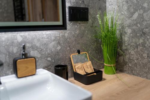 a bathroom with a sink and a mirror and a plant at Apartament No82 Yellow Holiday Home Zator in Zator