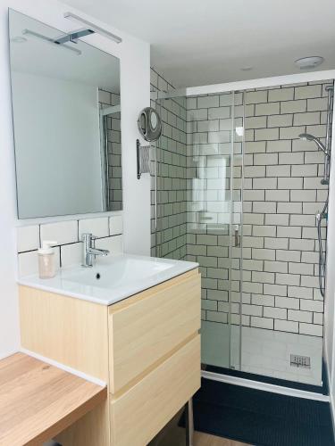 une salle de bain avec un lavabo et une douche dans l'établissement Chez Chromatique, 2 pers, hyper centre-ville, à Boulogne-sur-Mer