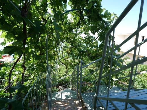 a metal gate in front of a tree at Sevilia Rooms in Qeparo