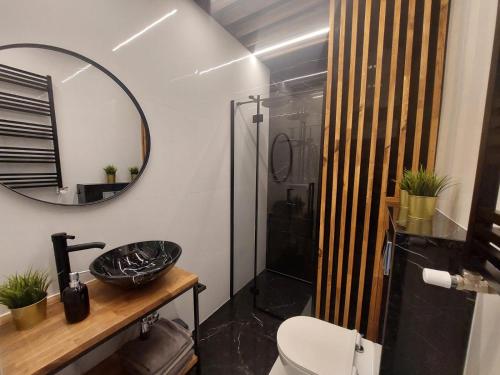 La salle de bains est pourvue de toilettes et d'un miroir. dans l'établissement Sparrow Apartment, à Świnoujście