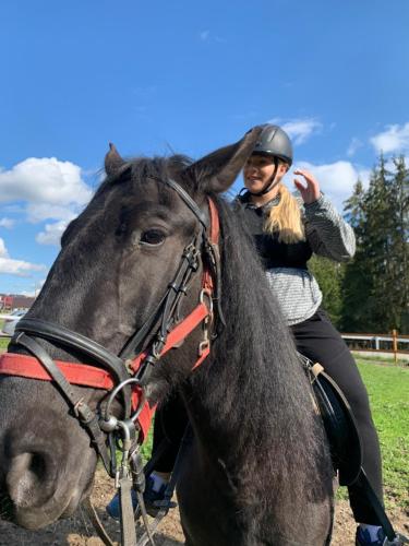 Eine Frau, die auf dem Rücken eines schwarzen Pferdes reitet. in der Unterkunft Villa Montana Borsec in Borsec