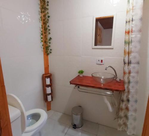 a bathroom with a sink and a toilet at Recanto das Cerejeiras in Campos do Jordão