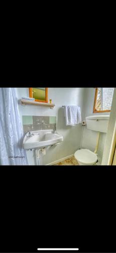 Tekao Lodge في Te Kao: حمام مع حوض ومرحاض
