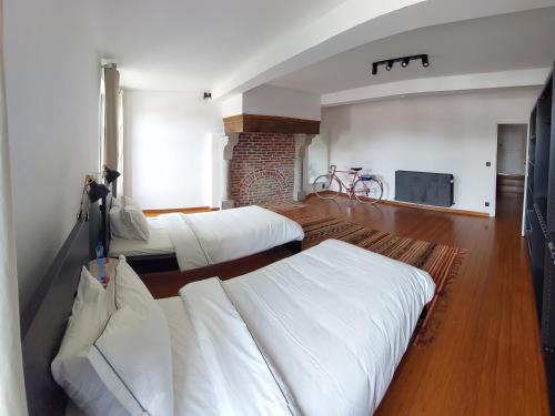 a bedroom with two beds and a television in it at B&B at Haras Petit-Hallet in Hannut