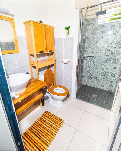 a bathroom with a toilet and a sink and a shower at Evasion en plein cœur de la ville T3 Jacuzzis Sauna et piscine au centre de Port-Louis in Port-Louis