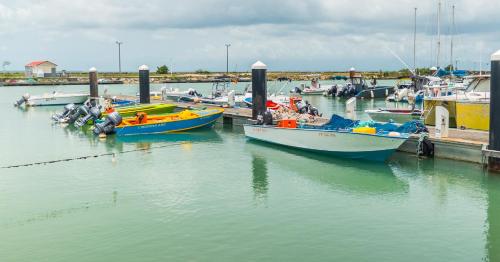 a group of boats docked at a dock in the water at Studio Jacuzzi et piscine au centre ville de Port-Louis in Port-Louis