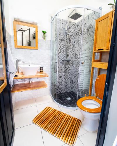 a bathroom with a shower and a toilet and a sink at Evasion en plein cœur de la ville T2 Jacuzzis Sauna et piscine au centre de Port-Louis in Port-Louis