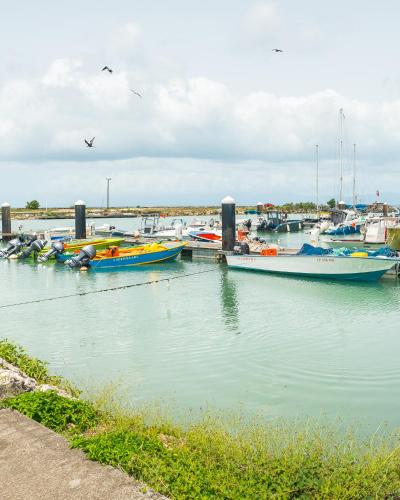 a bunch of boats are docked in a harbor at Evasion en plein cœur de la ville T2 Jacuzzis Sauna et piscine au centre de Port-Louis in Port-Louis