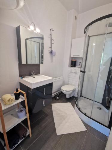 une salle de bain avec une douche, un lavabo et des toilettes dans l'établissement Le Balcon, 500 m plage, proximité Touquet, à Camiers