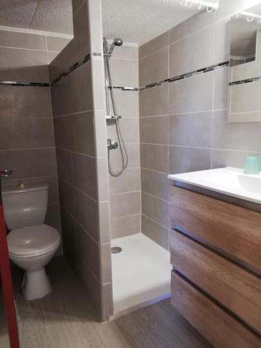 une salle de bain avec une douche, des toilettes et un lavabo dans l'établissement Studio 28m2 climatisé,WIFI, proche des calanques,plages, à La Ciotat