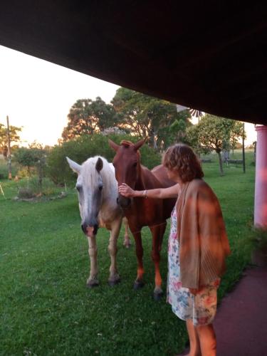 Villa lujan – Photos 3
