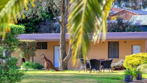 a large house with a bunch of trees around it at Hamilton Hume Motor Inn in Yass