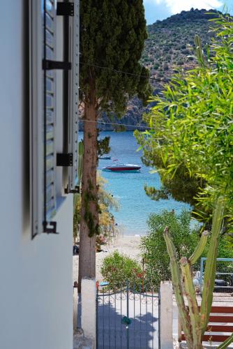 Φωτογραφία από το άλμπουμ του Casa olive στο Τολό