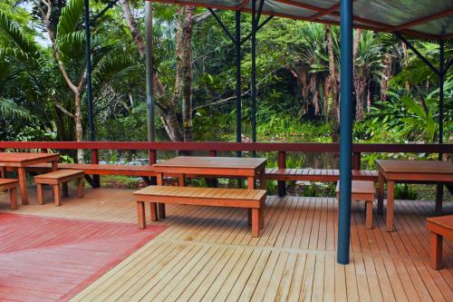 Imagen de la galería de Rainforest Eco Lodge, en Suva