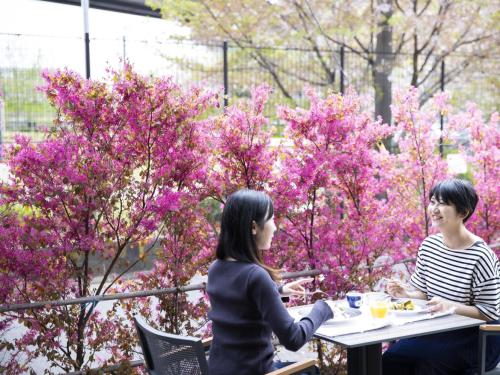 two women sitting at a table in front of pink trees at Ariston Hotel Kyoto Jujo in Kyoto