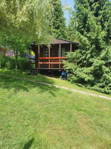 a log cabin with a grass yard in front of it at Domki letniskowe pod Brzozami Stella in Polańczyk