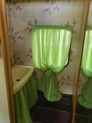 baño con cortina de ducha verde y lavamanos en Koppány Pines Rewild Escapes - Vintage Caravan, en Koppányszántó