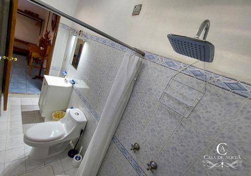 a bathroom with a toilet and a shower at Casa de Alicia Habitación Monte Albán in Oaxaca City