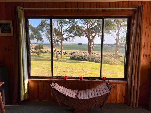Gallery image of Twelve Apostles Ocean View in Princetown