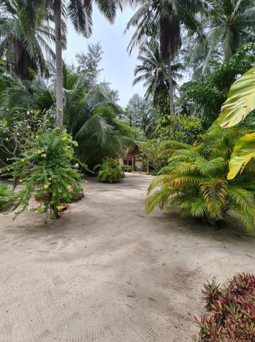 a dirt road with palm trees and plants at Angkana Bungalows adults only in Thongsala
