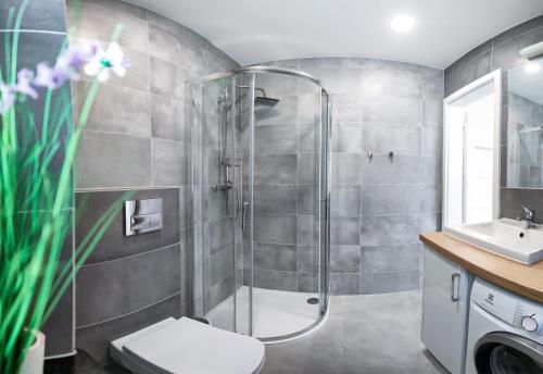 a bathroom with a shower and a toilet and a sink at Wilk Zając domki Apartamenty in Sterławki Małe