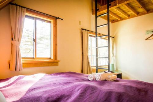 a bedroom with a purple bed with a window at Misorano Chalet in Hakuba