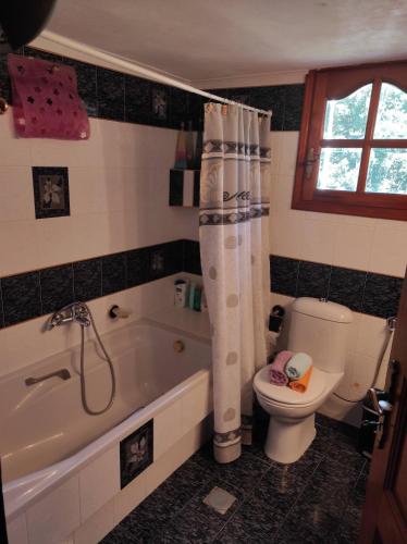 a bathroom with a tub and a toilet and a shower curtain at Kotrwnas Family Traditional Villa Seaview in Kótronas