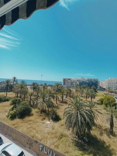 Blick aus einem Fenster auf einen Strand mit Palmen in der Unterkunft Apartment in Torrevieja by the Beach in Torrevieja