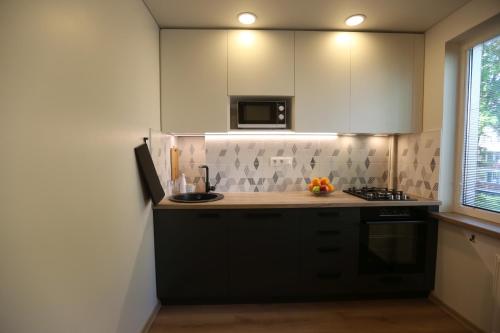 Virtuvė arba virtuvėlė apgyvendinimo įstaigoje Modern 2 Room Apartment - FREE PARKING - NETFLIX