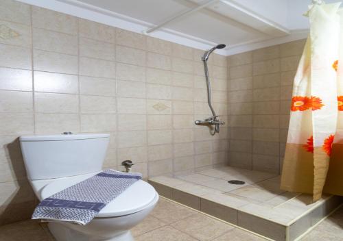 a bathroom with a toilet and a shower at Anthoula house in Vlachopoulátika