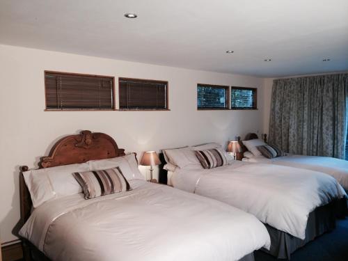 a bedroom with two beds and two windows at Kendall Lodge in Burwell