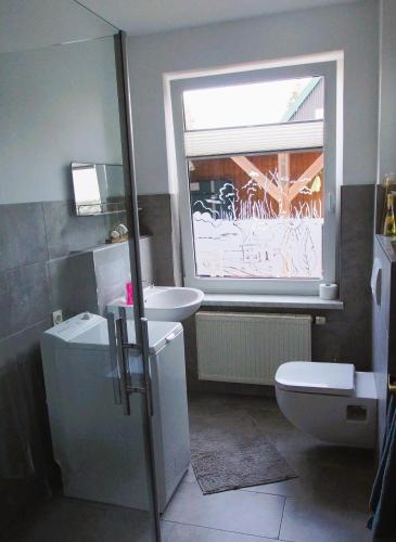 a bathroom with a sink and a toilet and a window at Relaxoase ***** in Krakow am See