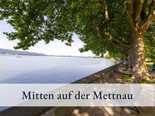 una imagen de un árbol junto a un cuerpo de agua en Große moderne Ferienwohnung in bester Bodenseelage l 1 Minute zum Bodensee l 3 Zimmer l Vollausgestattete Küche l Sonnenbalkon l WLAN l Willkommen im Apartment Mettnau, en Radolfzell am Bodensee