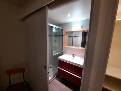 une salle de bain avec un lavabo et une douche dans l'établissement Appartement centre ville rue calme 2 pièces classé 3 étoiles, à Lannion